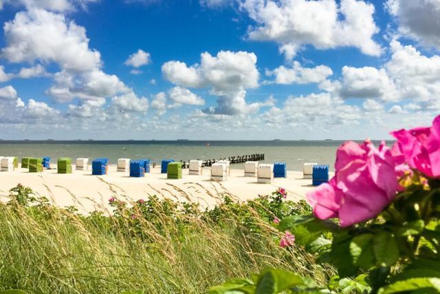 Haus Uthlande Uthlande Whg 4 Apartamento Wyk auf Föhr Exterior foto